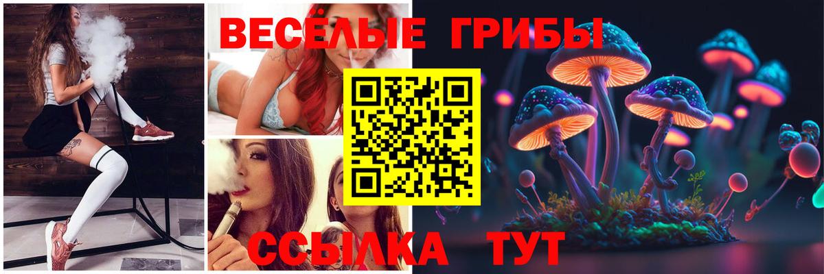 Псилоцибиновые грибы GOLDEN TEACHER  Вход с VPN  Псилоцибиновые грибы GOLDEN TEACHER  Ишим 